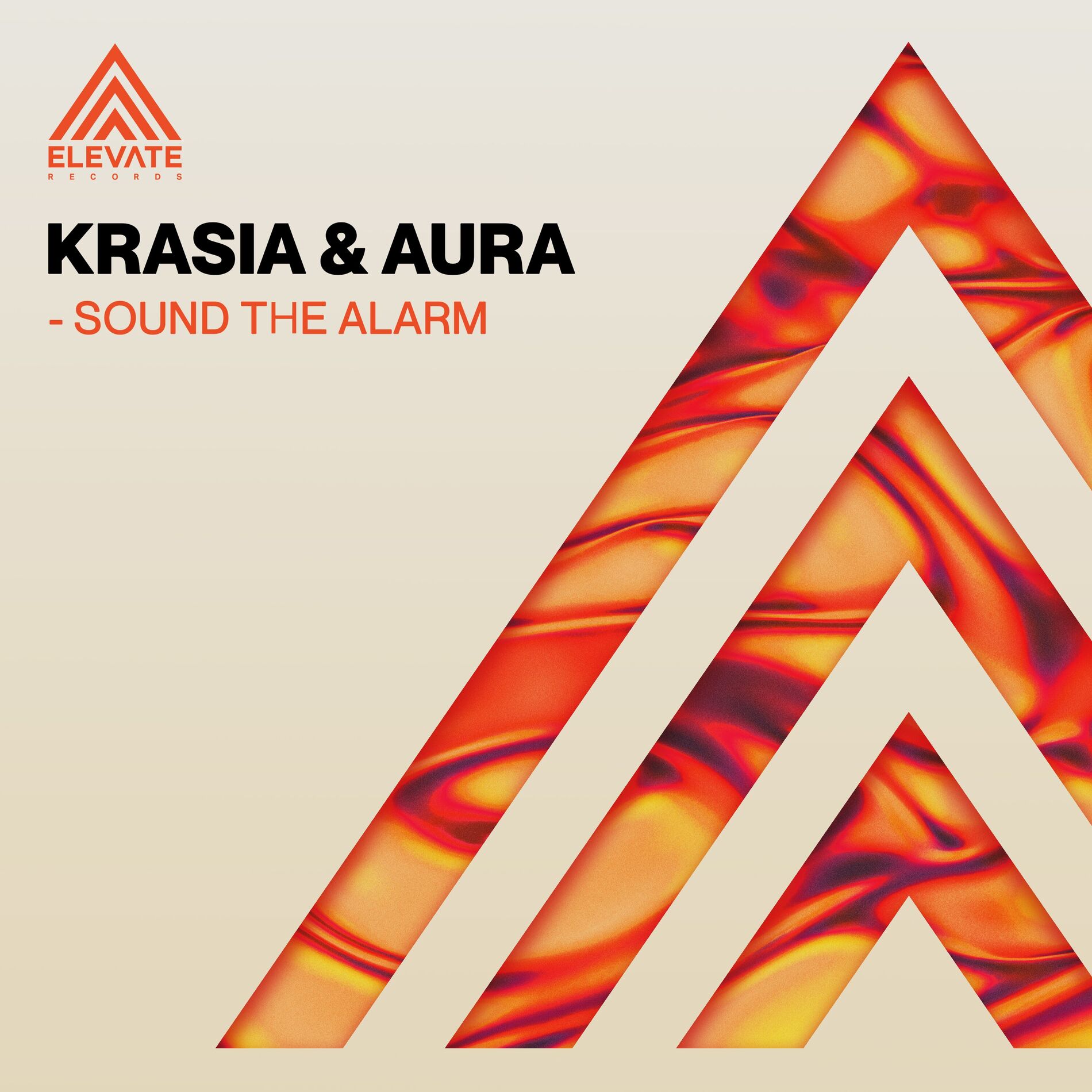 Album cover of Sound The Alarm