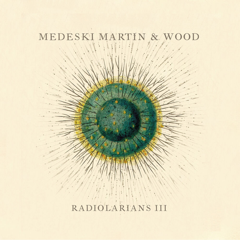 Picture of Radiolarians III