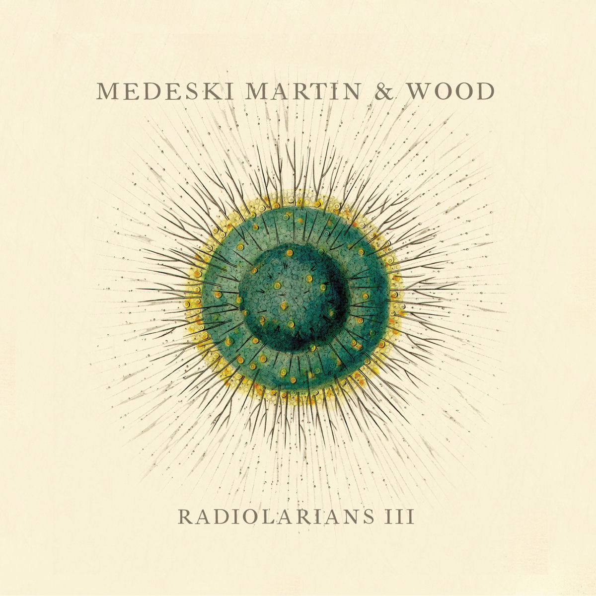 Album cover of Radiolarians III