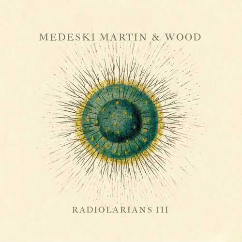 Medeski Martin & Wood - Broken Mirror | Deezer