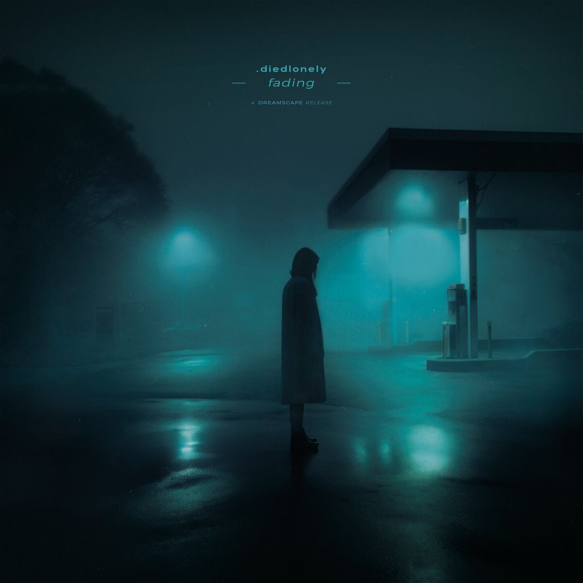 Album cover of fading (Willix Edit)