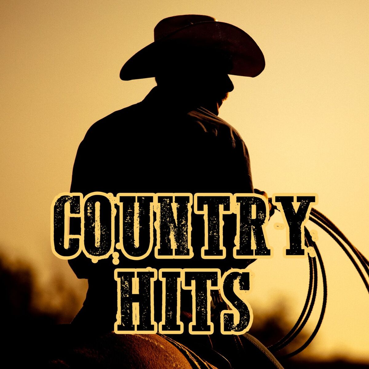 Album cover of Country Hits