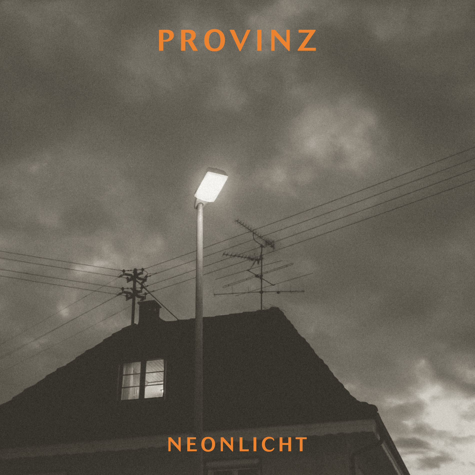Album picture of Neonlicht