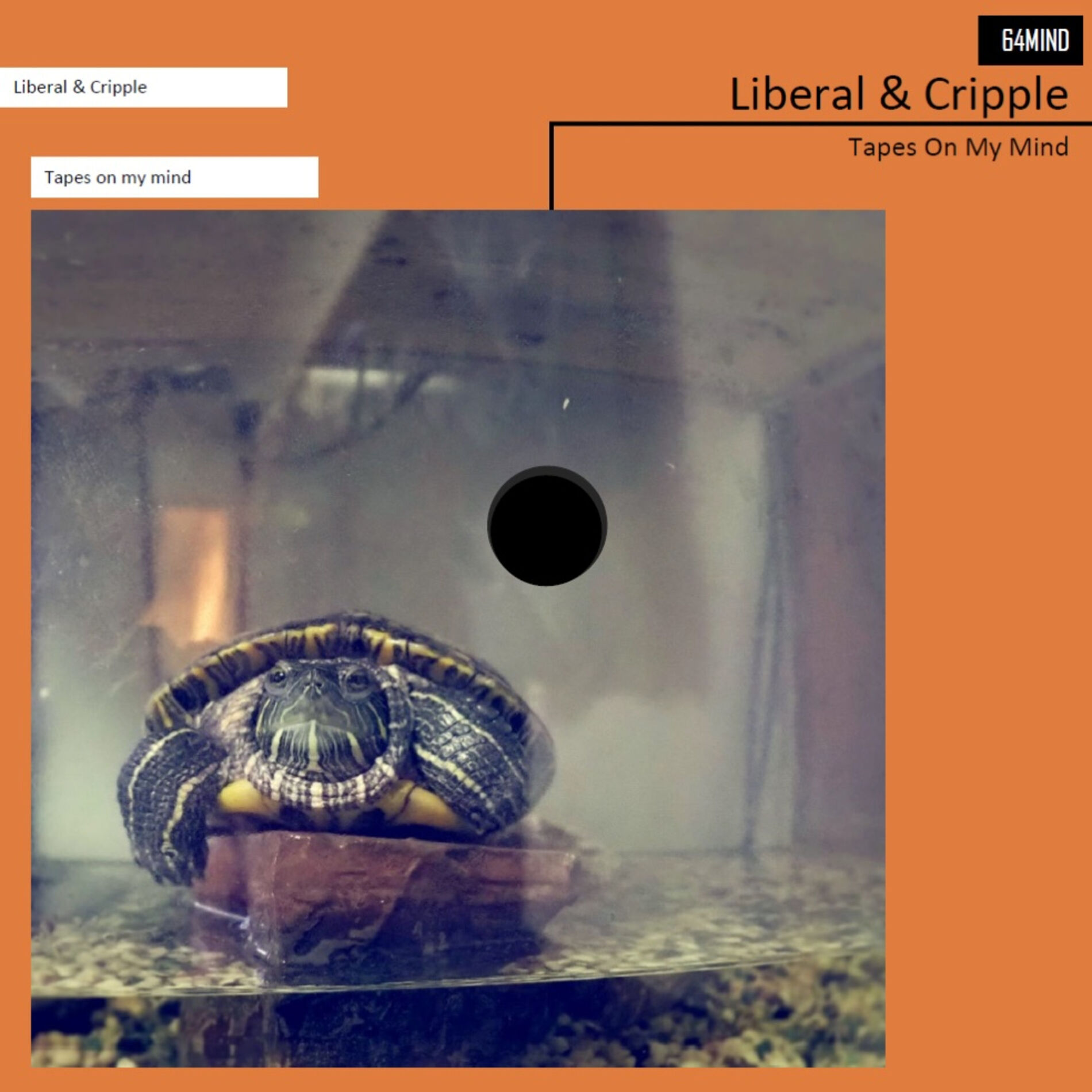 Album cover of Serotonin