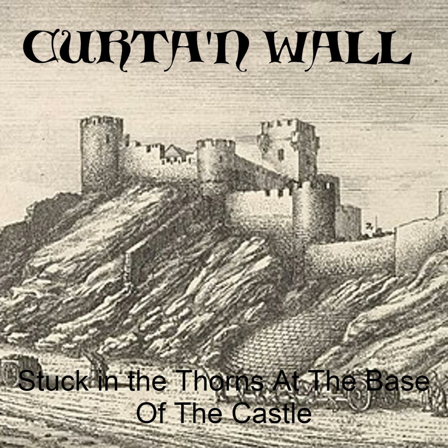 Album cover of Stuck In The Thorns At The Base Of The Castle