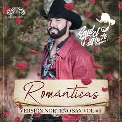 Cover of Romanticas - Version Norteño Sax, Vol. 1