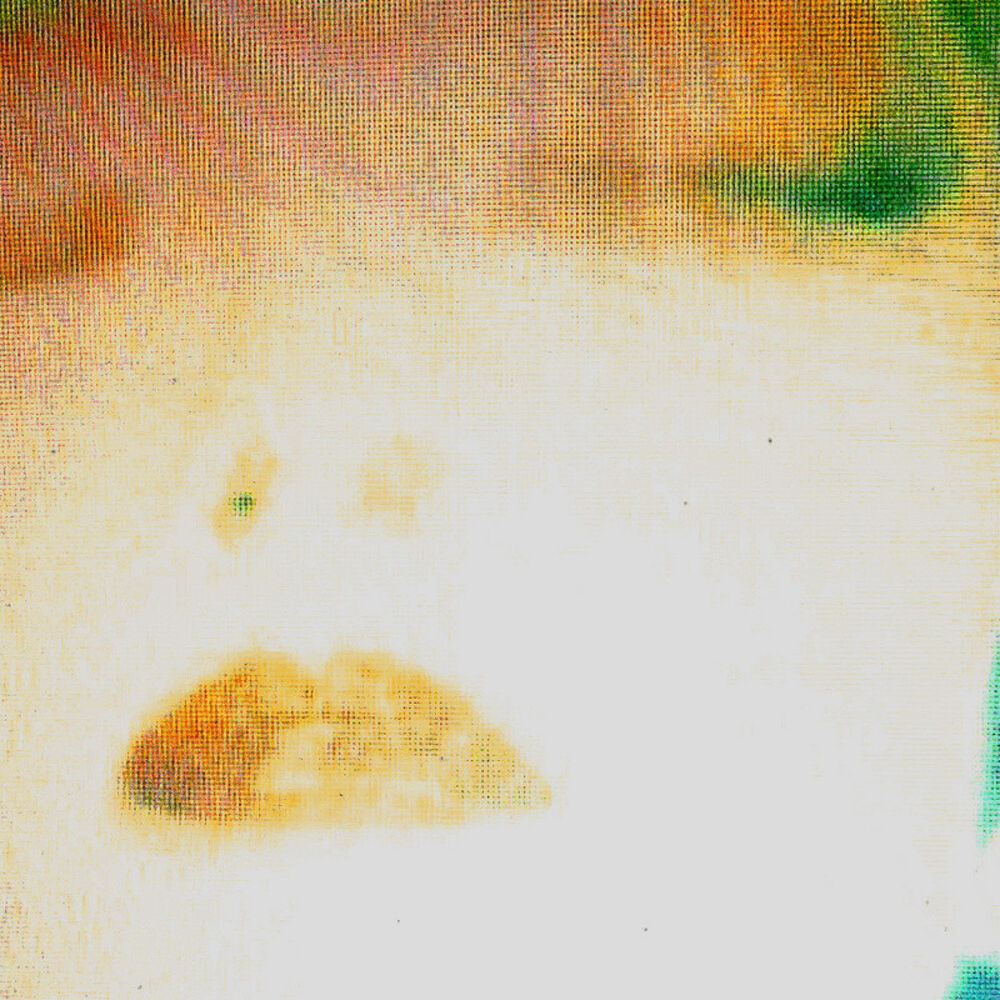 Picture of Album 02: The Gravity – Sophomore