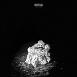 Cover of CL0WN
