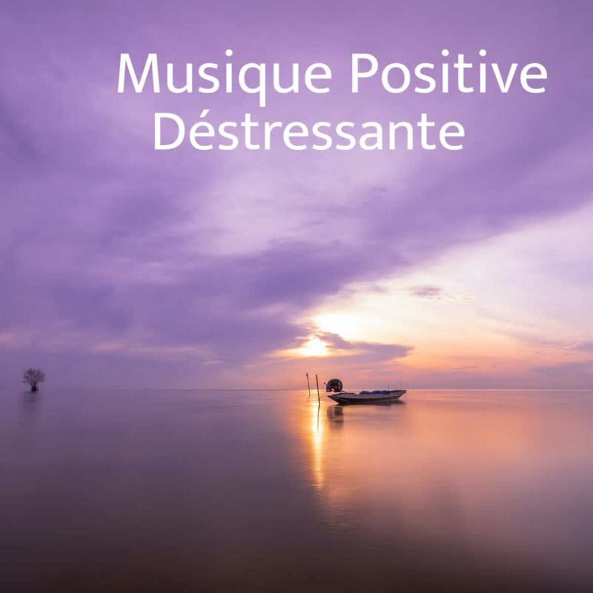 Album cover of Musique Positive Déstressante