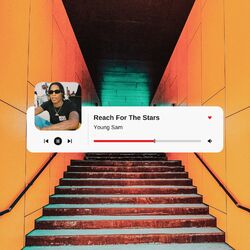 Cover of Reach for the Stars