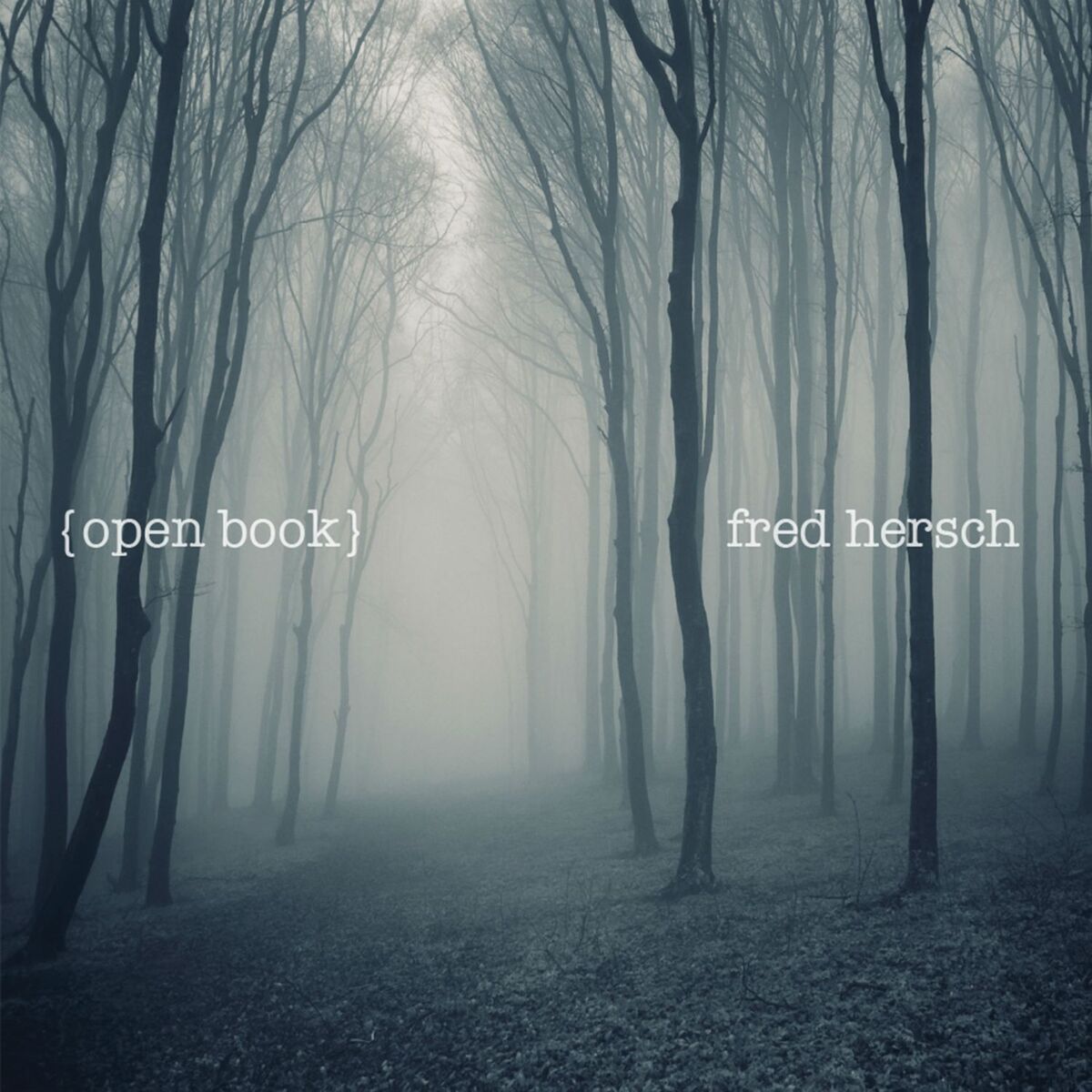 Album cover of Open Book