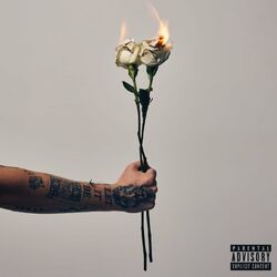 Cover of Let Me Down Easy (Lie)