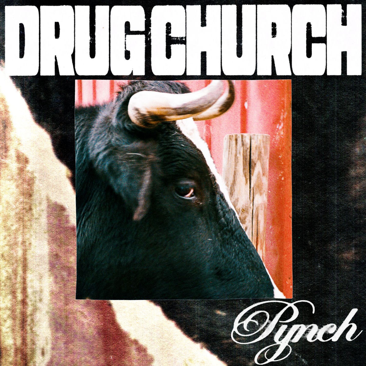 Album cover of Pynch