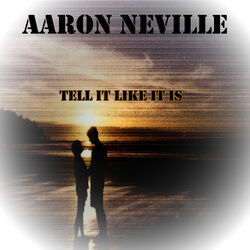 Cover of Tell It Like It Is