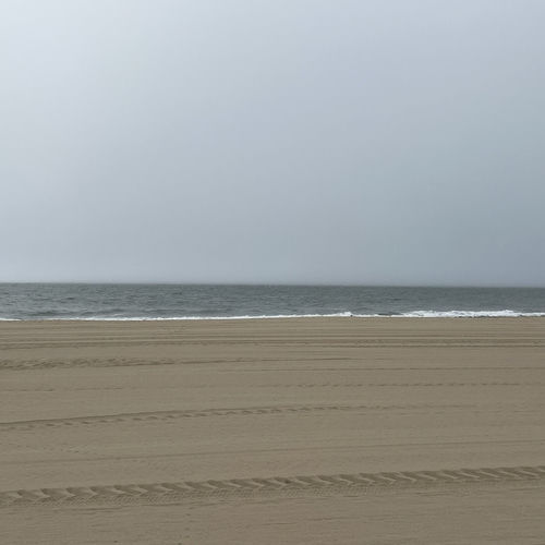 Beach Day