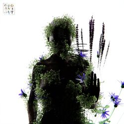 Cover of No Ending (Nils Hoffmann Remix)