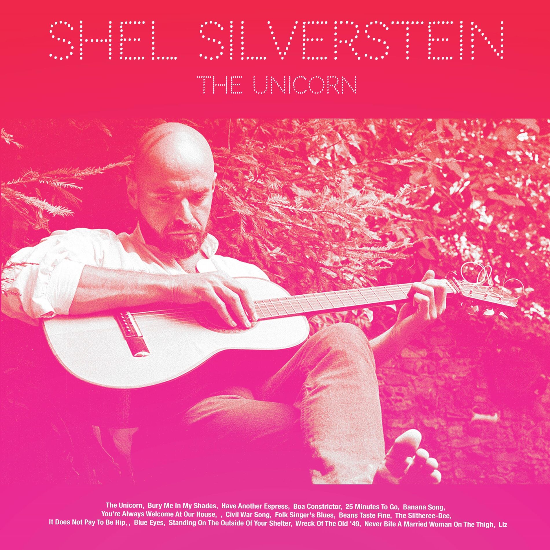 Album cover of The Unicorn