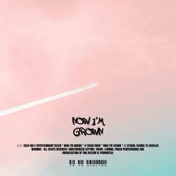 Cover of NOW I’M GROWN