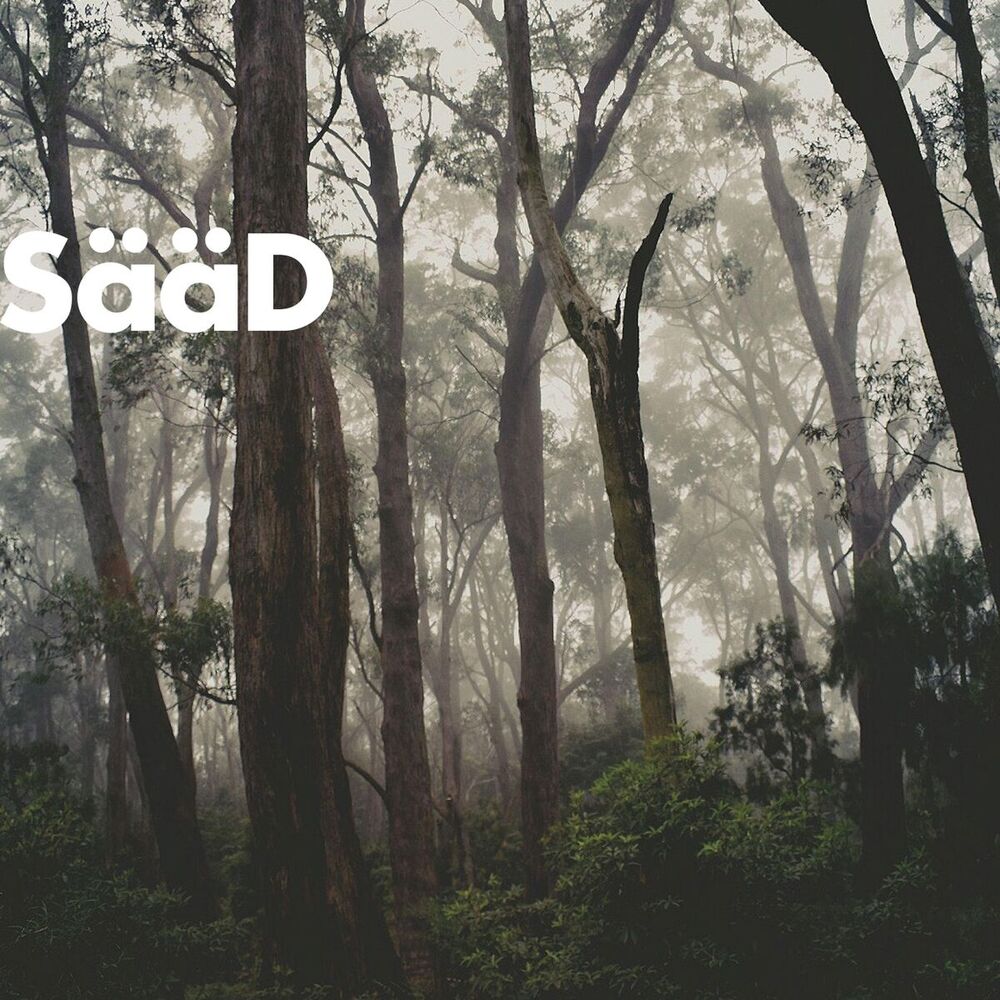 Picture of Sääd
