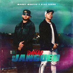 Cover of Dañar el Jangueo