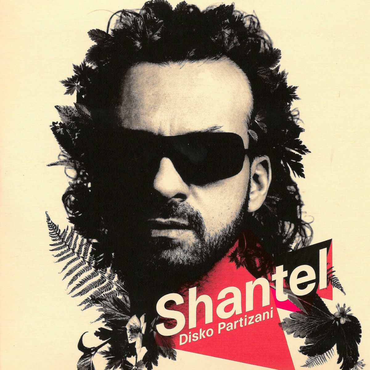 Album cover of Disko Partizani