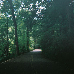 Pochette album