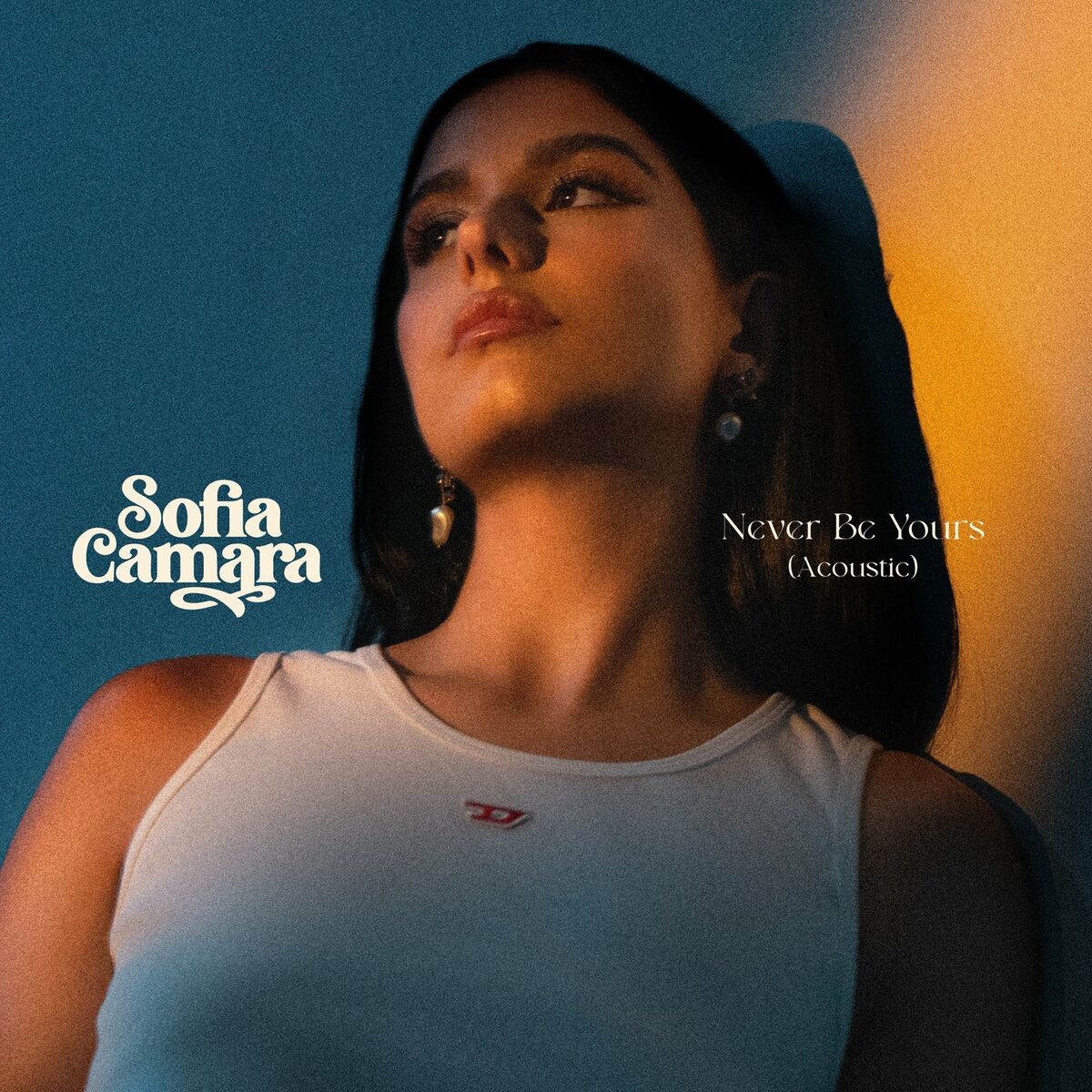 Album cover of Never Be Yours