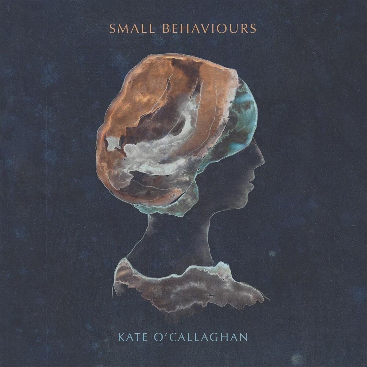 Album picture of Small Behaviours (Live)