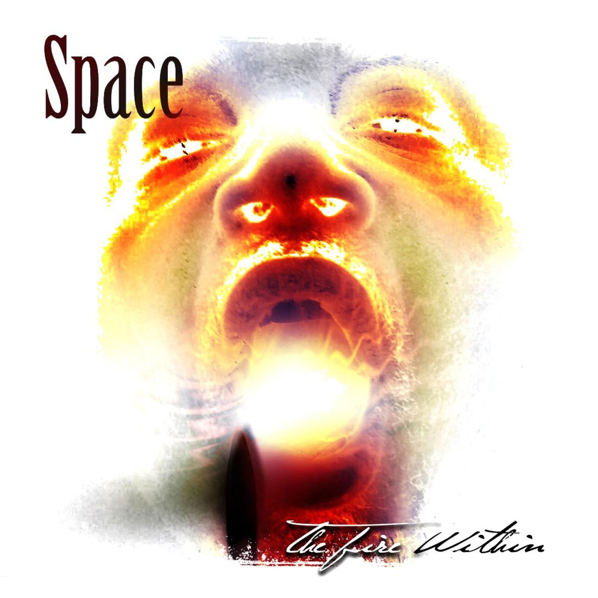 Album cover of The Fire Within