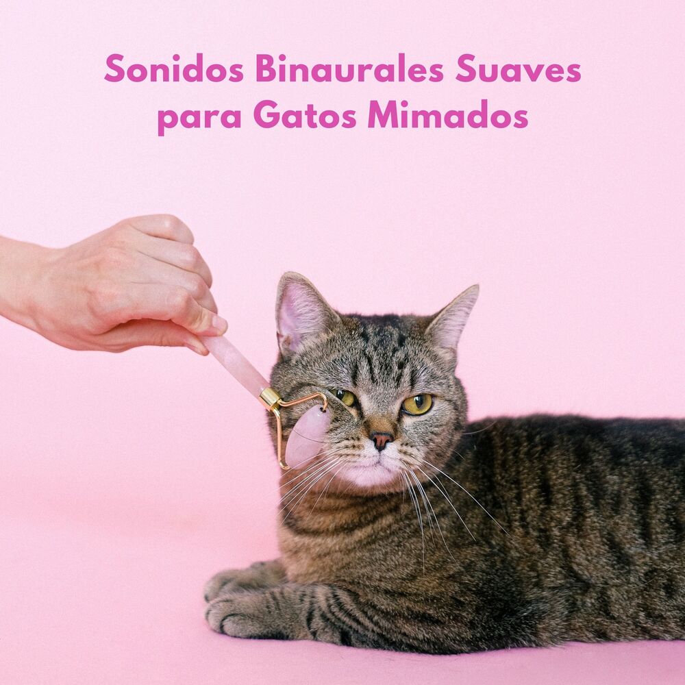 Picture of Sonidos Binaurales Suaves Para Gatos Mimados