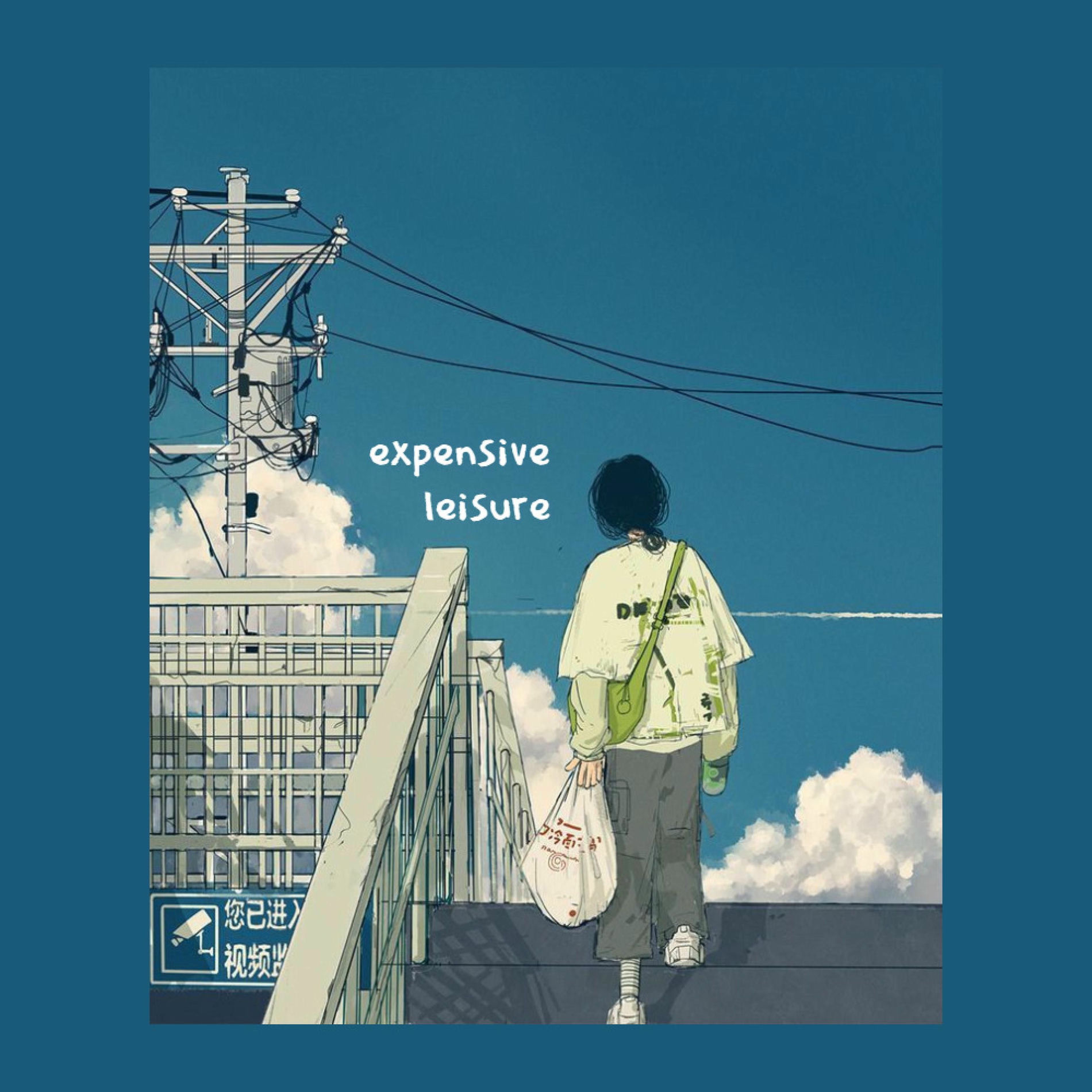 Album cover of expensive leisure
