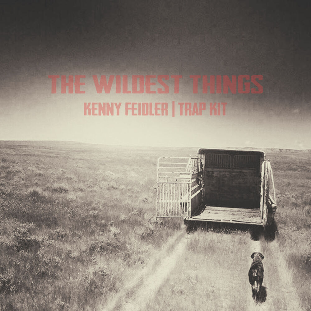 Picture of The Wildest Things