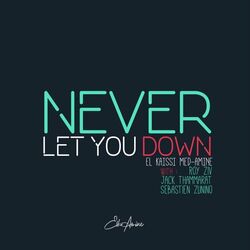 Cover of Never Let You Down