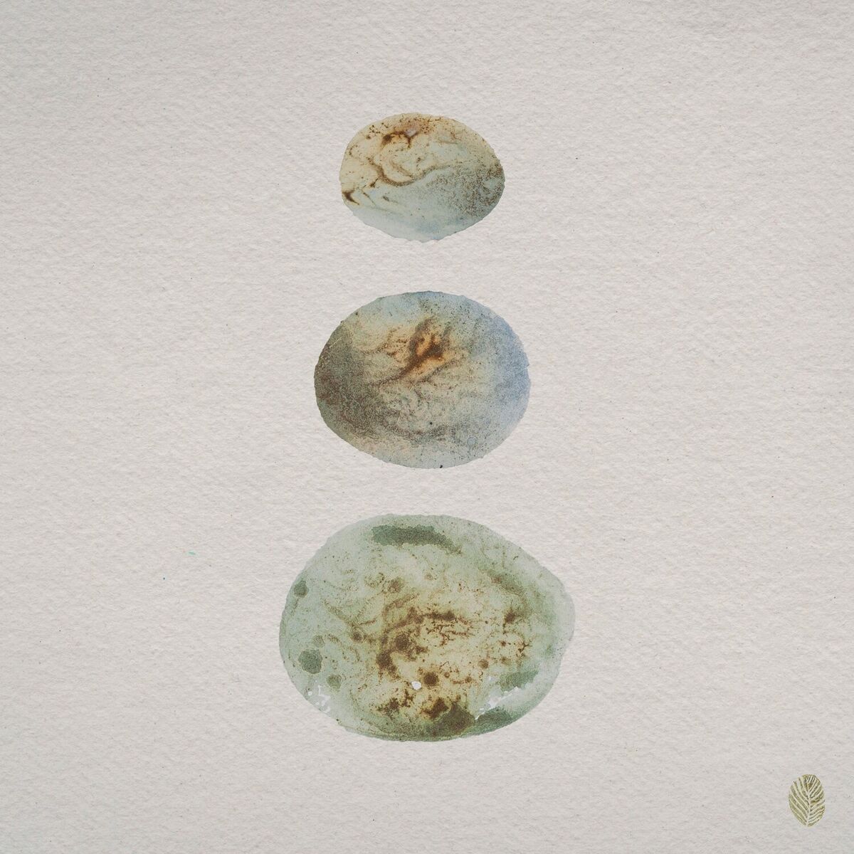 Album cover of Wild Swim (Regrown)