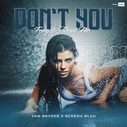 Cover of Don't You (Forget About Me)