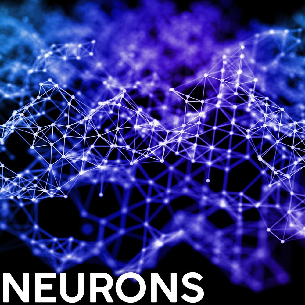 Picture of Neurons: Cognitive Enhancement, Focus Optimization, and Neural Synchronization Through Frequency Modulation