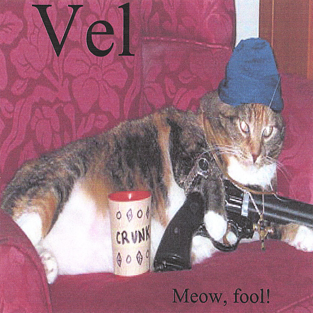 Picture of Meow, fool!