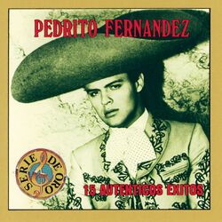 Cover of Serie De Coleccion 15 Autenticos Exitos