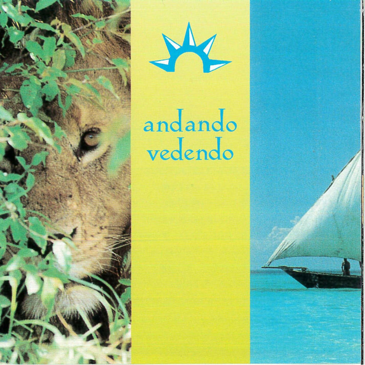 Album cover of Andando vedendo