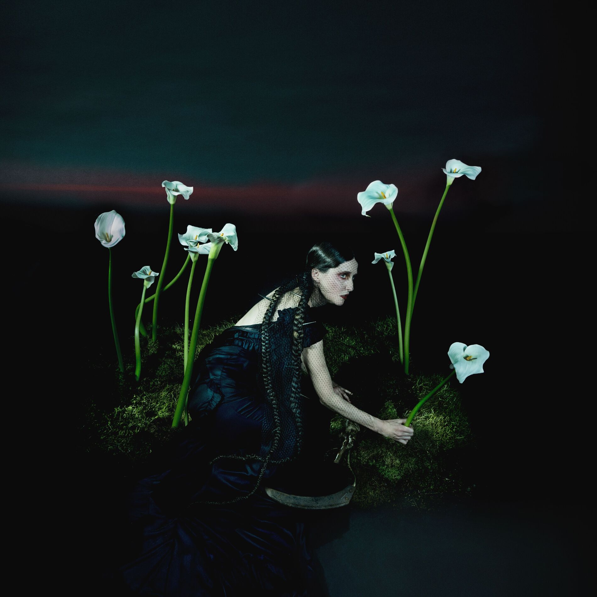 Album cover of A Requiem
