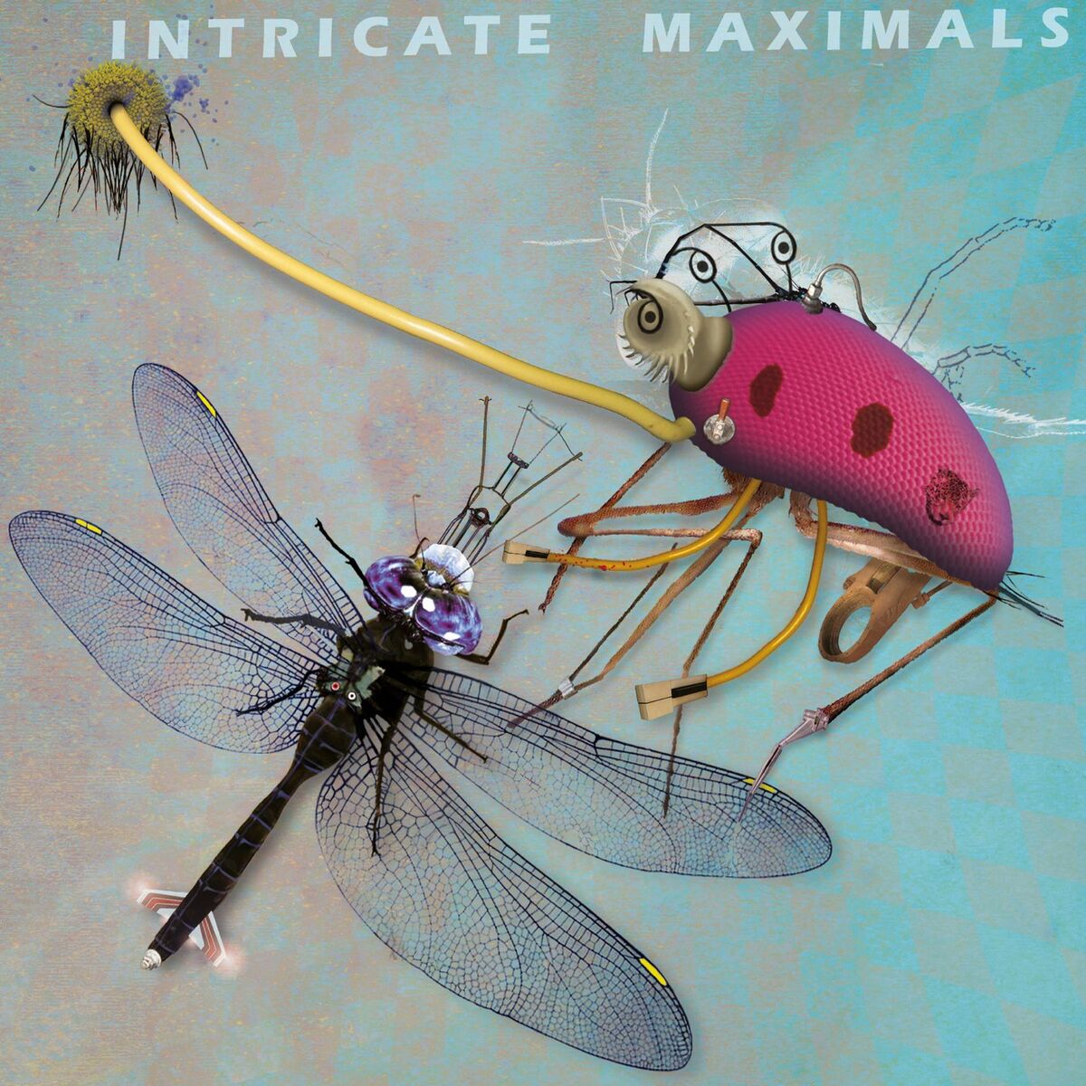 Album cover of Intricate Maximals
