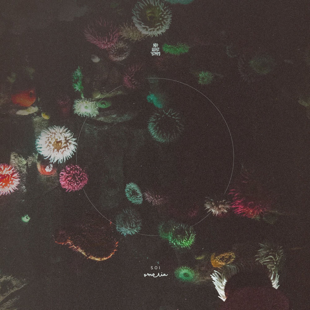 Soi cover