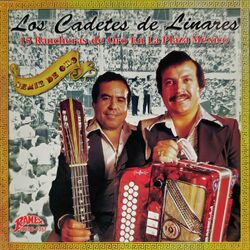 Cover of 15 Rancheras De Oro En La Plaza México