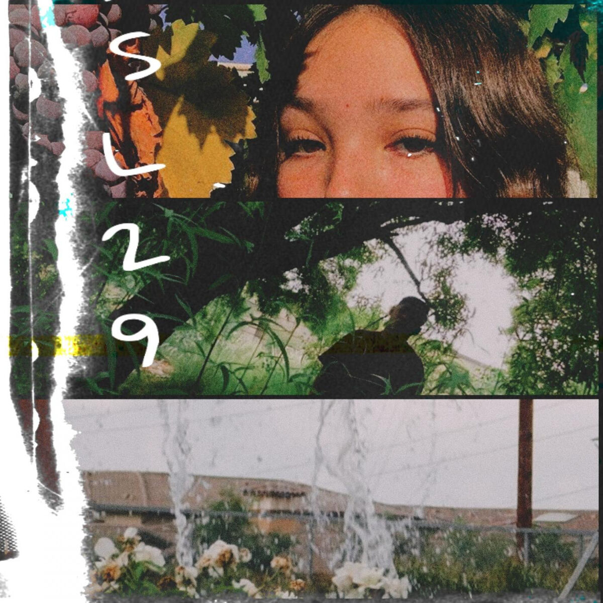 Album cover of SL29
