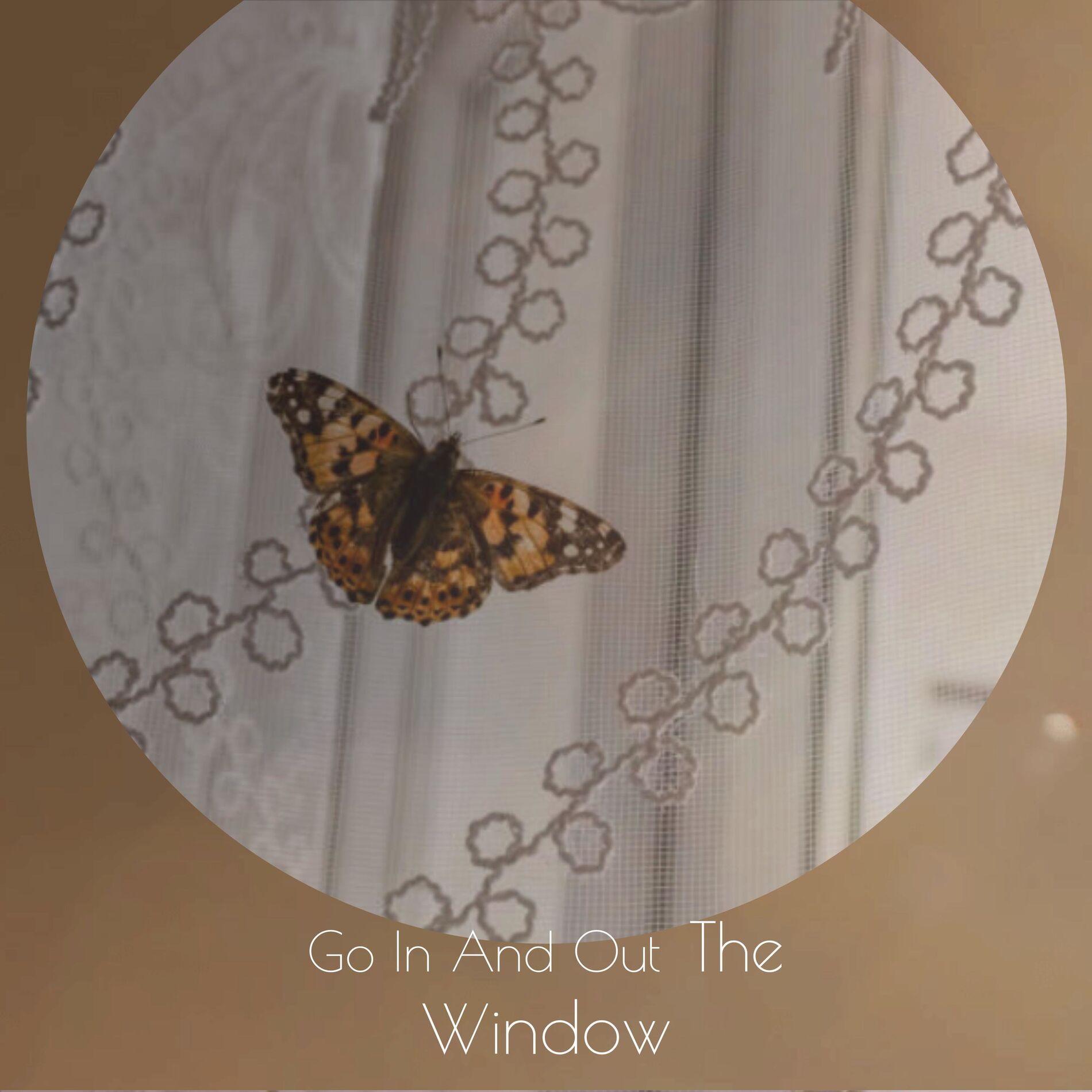 Album cover of Go In And Out The Window