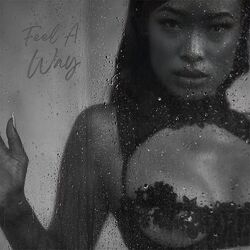 Cover of Feel A Way