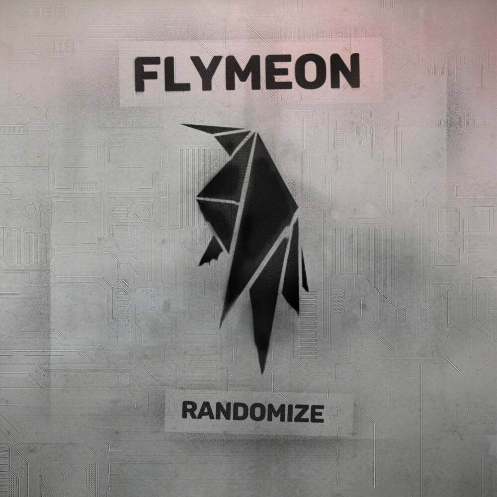 Picture of Randomize