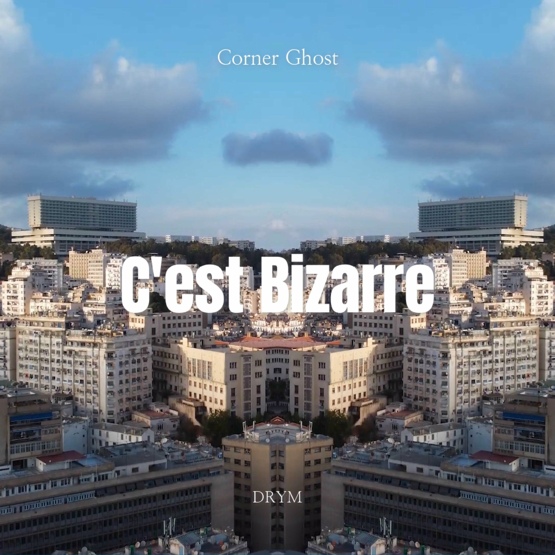 Album cover of C'est Bizarre (feat. DRYM)