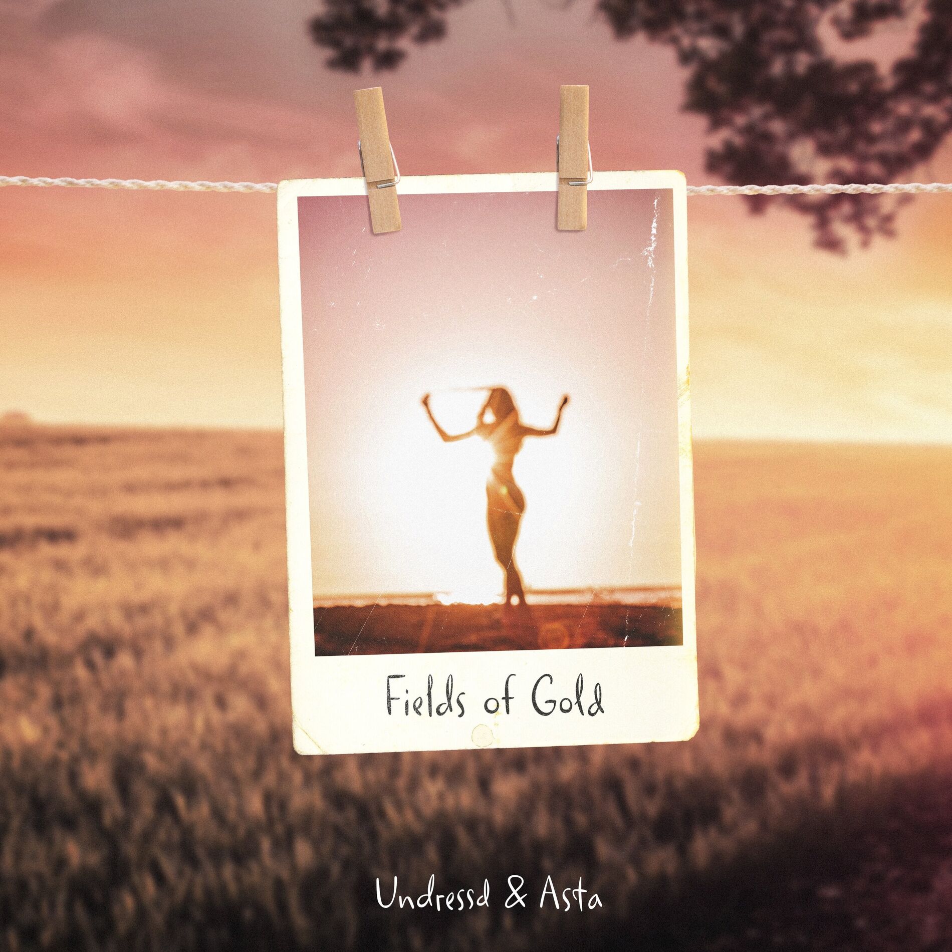 Album cover of Fields Of Gold