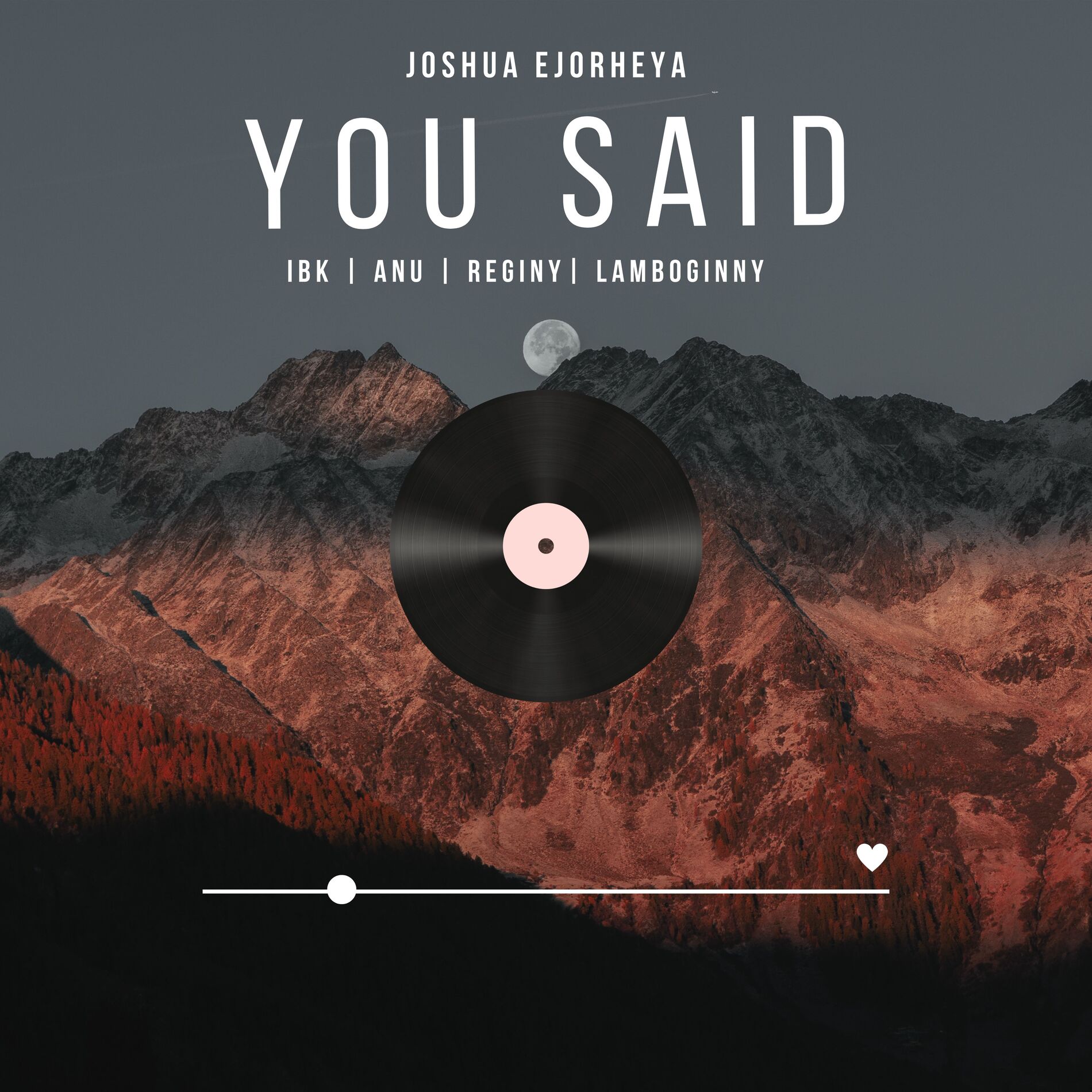 Album cover of You Said